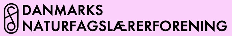 DNFL - logo
